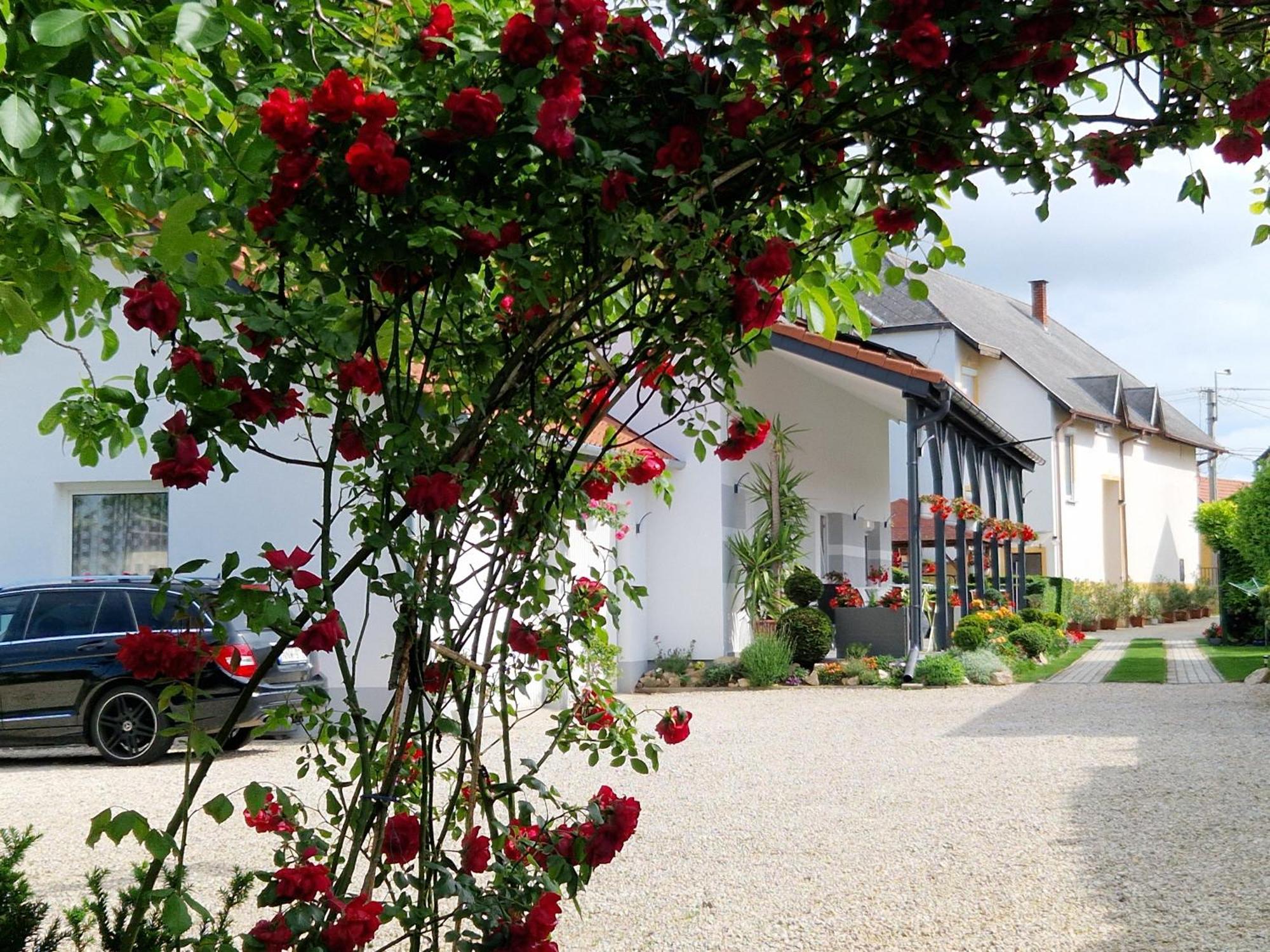 Hajnalka Vendeghaz Hotel Bük Eksteriør billede